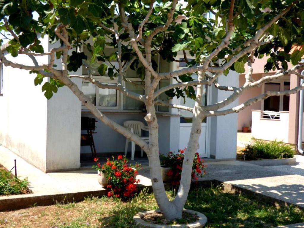 Apartments Branko Nin Εξωτερικό φωτογραφία